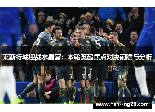 莱斯特城迎战水晶宫:本轮英超焦点对决前瞻与分析 莱斯特城迎战水晶宫:本轮英超焦点对决前瞻与分析