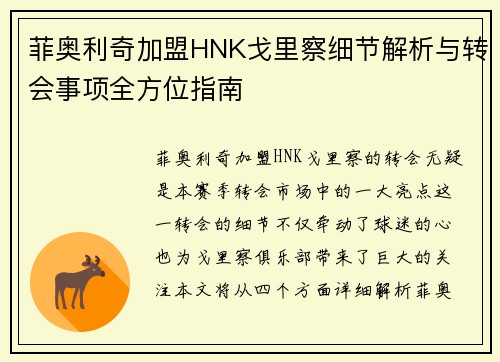 菲奥利奇加盟HNK戈里察细节解析与转会事项全方位指南