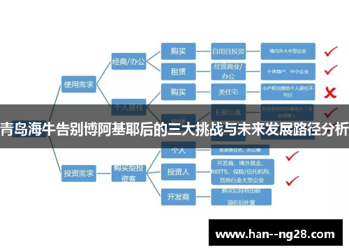 青岛海牛告别博阿基耶后的三大挑战与未来发展路径分析